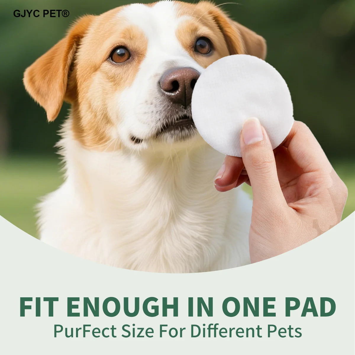 PawEase™ CleanWipes